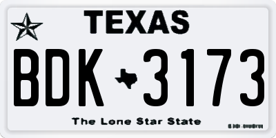 TX license plate BDK3173