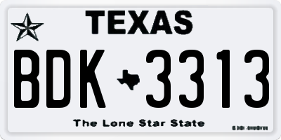 TX license plate BDK3313