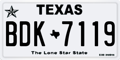 TX license plate BDK7119