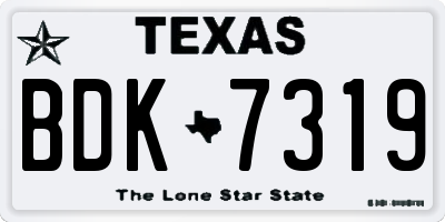 TX license plate BDK7319