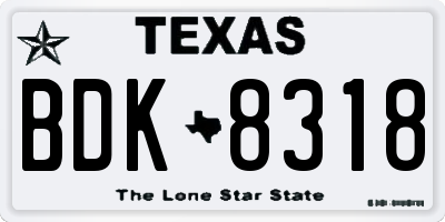 TX license plate BDK8318