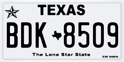 TX license plate BDK8509