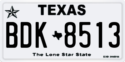 TX license plate BDK8513
