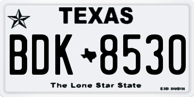 TX license plate BDK8530