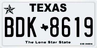 TX license plate BDK8619