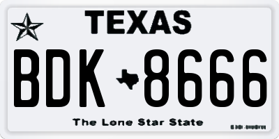 TX license plate BDK8666