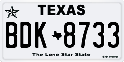 TX license plate BDK8733