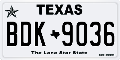 TX license plate BDK9036