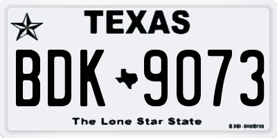 TX license plate BDK9073