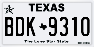 TX license plate BDK9310