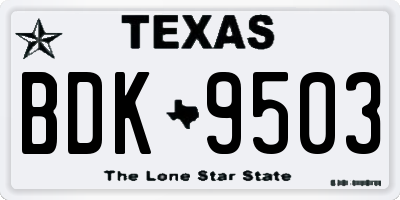 TX license plate BDK9503
