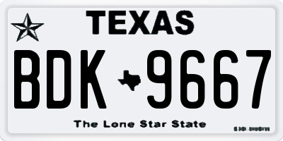 TX license plate BDK9667