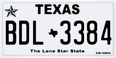 TX license plate BDL3384