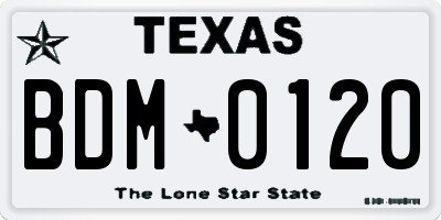 TX license plate BDM0120