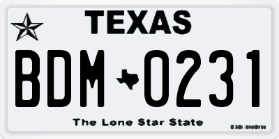 TX license plate BDM0231