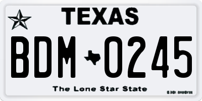 TX license plate BDM0245