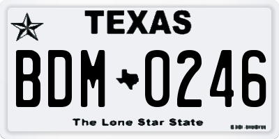TX license plate BDM0246