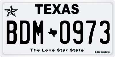 TX license plate BDM0973