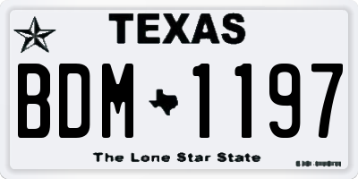 TX license plate BDM1197