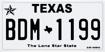 TX license plate BDM1199