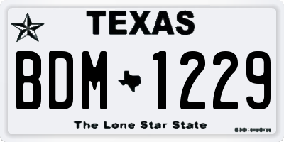 TX license plate BDM1229