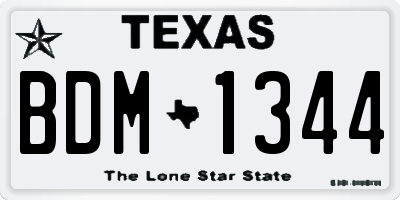 TX license plate BDM1344