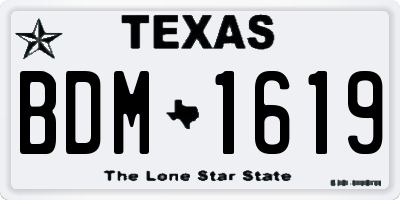 TX license plate BDM1619