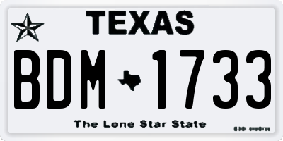 TX license plate BDM1733