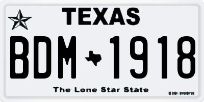 TX license plate BDM1918