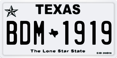 TX license plate BDM1919