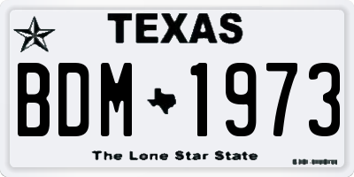 TX license plate BDM1973