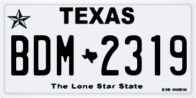 TX license plate BDM2319