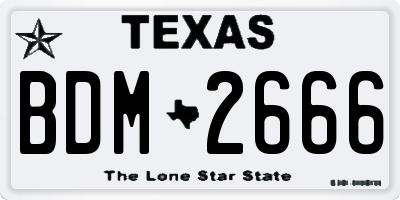 TX license plate BDM2666