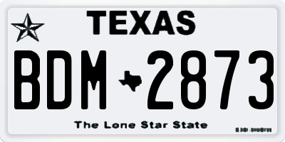 TX license plate BDM2873