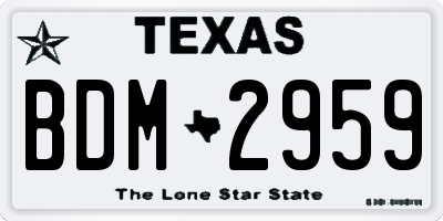 TX license plate BDM2959