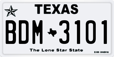 TX license plate BDM3101