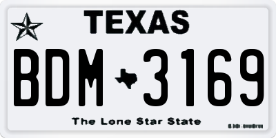 TX license plate BDM3169
