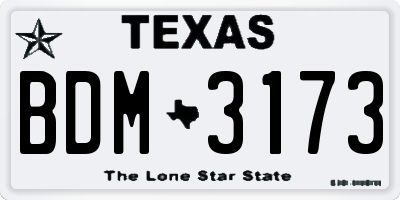 TX license plate BDM3173