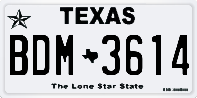 TX license plate BDM3614