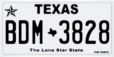 TX license plate BDM3828