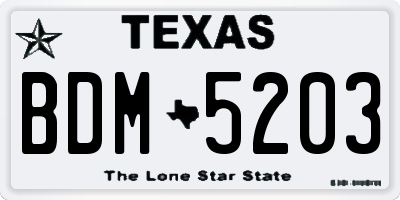 TX license plate BDM5203