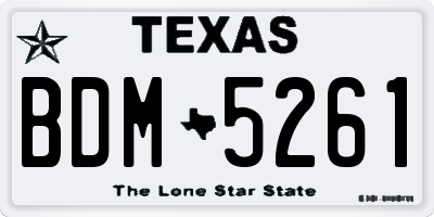 TX license plate BDM5261