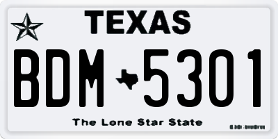TX license plate BDM5301