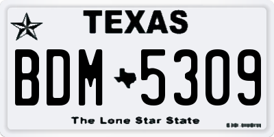 TX license plate BDM5309