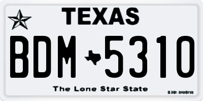TX license plate BDM5310