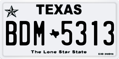 TX license plate BDM5313