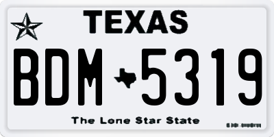 TX license plate BDM5319