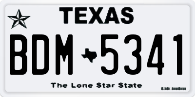 TX license plate BDM5341