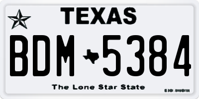 TX license plate BDM5384
