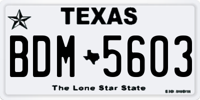 TX license plate BDM5603